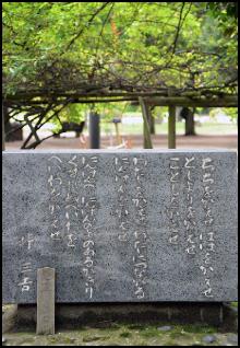 memory061