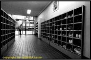 school8